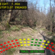 Image for article titled These Rescue Drones Search Forest Trails Like Robot Rangers